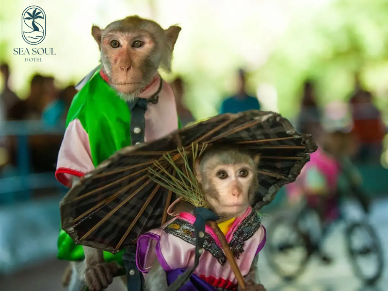 du-lich-nha-trang-ngay-tet-3