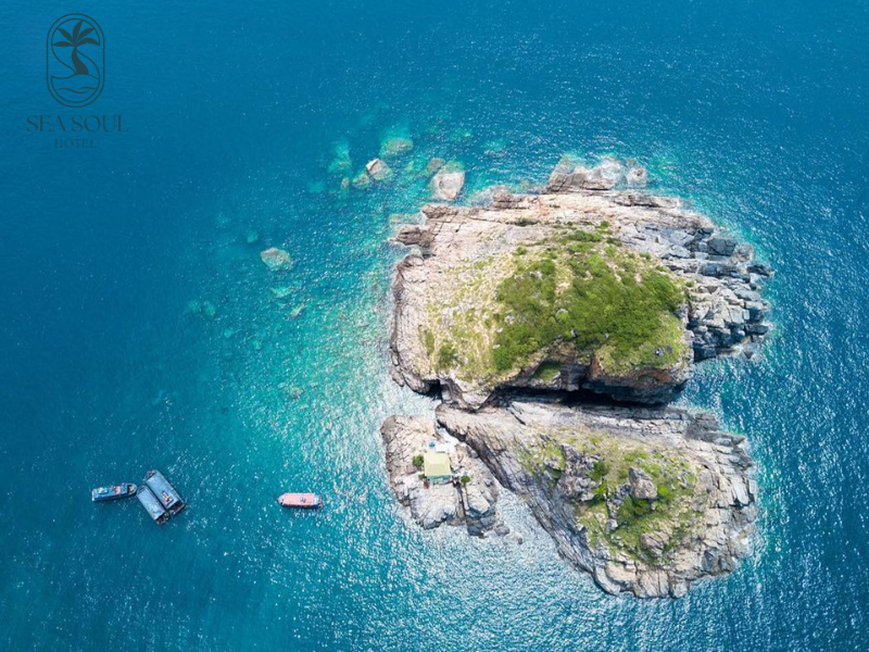 du-lich-nha-trang-ngay-tet-7