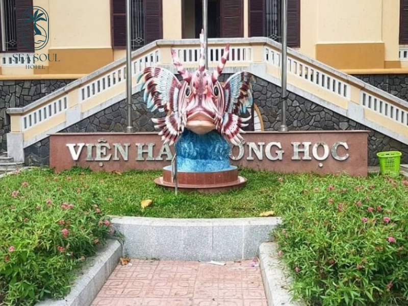 du-lich-nha-trang-ngay-tet-9