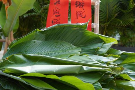 Chương trình tết 2026